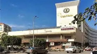 تعديل المخططات التفصيلية لمدينة بني عبيد في محافظة الدقهلية 