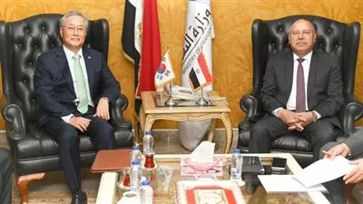 مصر وكوريا الجنوبية تبحثان سبل تعزيز التعاون بمجالي الصناعة والنقل 