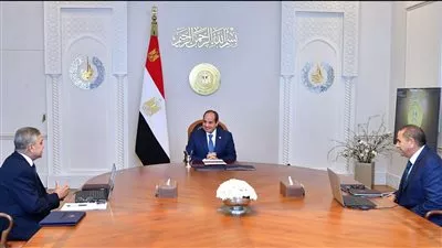 الرئيس السيسي يوجه بمواصلة العمل على تعظيم القدرات الملاحية بقناة السويس