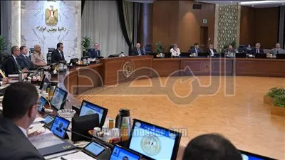 الحكومة توافق على اعتبار الربط الكهربائي بين مصر والسعودية من مشروعات التنمية بسيناء