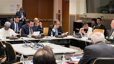 وزير الخارجية يؤكد استمرار جهود مصر في مساري الوساطة وإنفاذ المساعدات لغزة 