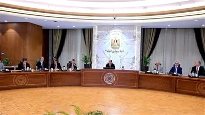 رئيس الوزراء: 3 مليارات دولار استثمارات يابانية لدعم التنمية المستدامة في مصر