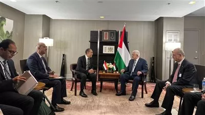 وزير الخارجية يؤكد دعم مصر الكامل للسلطة الوطنية الفلسطينية 