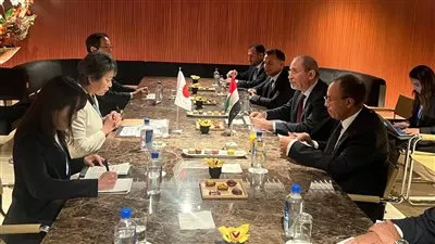 وزير الخارجية يشارك بالاجتماع الثلاثي بين مصر والأردن واليابان بشأن القضية الفلسطينية
