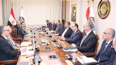 وزير قطاع الأعمال يبحث التعاون مع «الزراعة» و«البترول» لدعم صناعة الأسمدة 