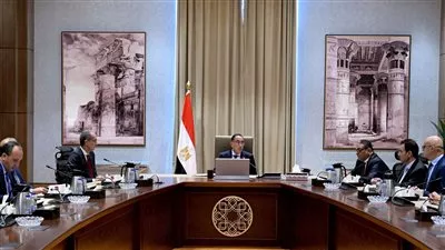 رئيس الوزراء يناقش خطط مواجهة الأخطار السيبرانية وجهود تأمين الأنظمة التكنولوجية