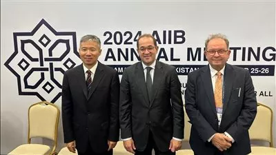 وزير المالية يبحث تعزيز التعاون المصري- الصيني بقطاعات النقل النظيف والطاقة المتجددة