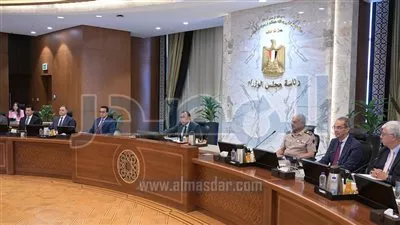 الحكومة توافق على دمج شركتي «المعصرة للصناعات الهندسية» و«حلوان لمحركات الديزل»