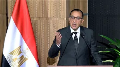 الحكومة تستهدف الوصول إلى 20 مليار دولار استثمارات مباشرة سنوياً