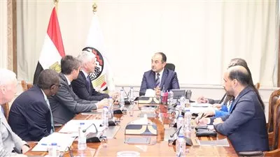 وزير قطاع الأعمال يبحث مع البنك الدولي تعزيز التعاون المشترك