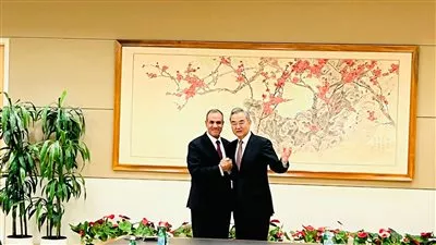 وزير الخارجية يؤكد الحرص على تشجيع الشركات الصينية لتعزيز استثماراتها في مصر