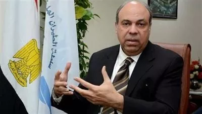 مهلة 6 أشهر لتوفيق أوضاع الشركات المرخص لها ممارسة أنشطة الطيران المدنى 