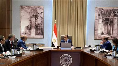 الكهرباء: تحصيل 1.2 مليار جنيه من مستحقات سرقات التيار في شهر ونصف