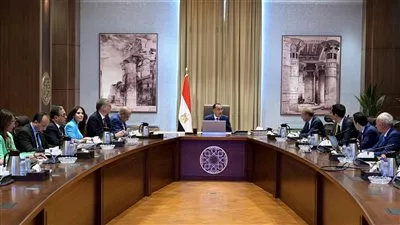  تحالف عالمي بقيادة شركة بلجيكية يعرض إنتاج مكونات المحللات الكهربائية في مصر