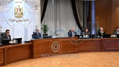 مجلس الوزراء يؤكد حتمية الوقف الفوري لإطلاق النار في لبنان وقطاع غزة