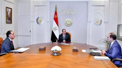 السيسي يوجه بمواصلة مسار الإصلاح المؤسسي لترشيد الإنفاق العام وخفض المديونية الحكومية