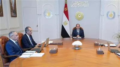  الرئيس السيسي يوجه بتكثيف الجهود لزيادة الاستثمارات في مراكز البيانات والسحب الحوسبية 