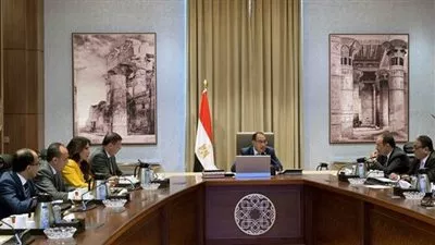 «مدبولي»: الحكومة تُدبّر التمويل اللازم لشراء الأقطان المصرية
