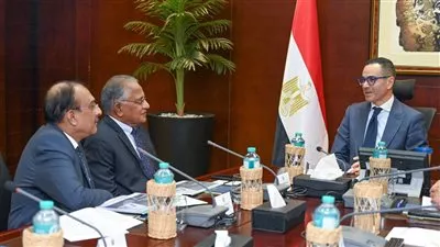 سانمار الهندية تعتزم ضخ 300 مليون دولار استثمارات جديدة في مصر