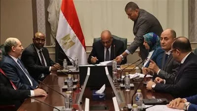 مصر توقع عقد توريد وتركيب محطة لتوليد الكهرباء في جيبوتي