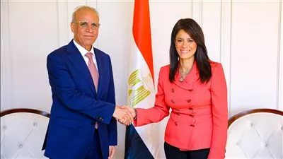 مصر والعراق تبحثان تعزيز سبل التعاون التنموي بين البلدين