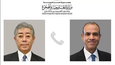 مصر واليابان تبحثان تعزيز التعاون بمجالات الهيدروجين الأخضر والذكاء الاصطناعي 