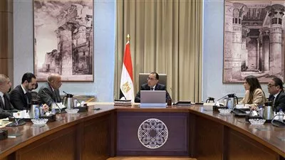رئيس الوزراء يبحث مع «فورتيسكيو» العالمية ضخ مزيد من الاستثمارات في مصر 