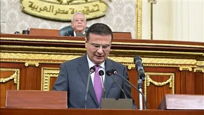 وزير الزراعة يستعرض إجراءات تعزيز الأمن الغذائي وتحقيق التنمية المستدامة أمام «النواب»