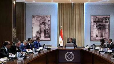 رئيس الوزراء يستكمل مناقشات مشروع القانون المقترح لمناطق المال والأعمال 