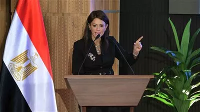 وزيرة التخطيط: الانتهاء من تنفيذ 38 إصلاحًا هيكليًا في مختلف القطاعات