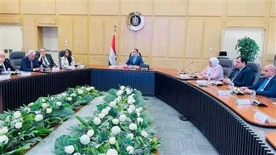 وزير الاستثمار: إصلاحات مالية وإجرائية لتحفيز توطين صناعة السيارات في مصر