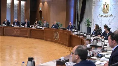  تخصيص قطعتي أرض لإقامة مخزنين لأغراض التعدين في السويس 