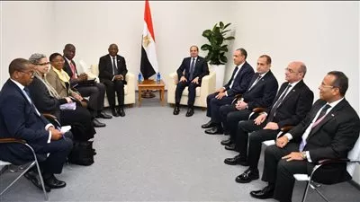 الرئيس السيسى ونظيره الجنوب أفريقى يؤكدان مواصلة التعاون لتحقيق مصالح الشعوب الأفريقية