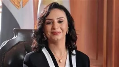 «التضامن» تقر قيد وتعديل قيد 3 جمعيات بمحافظتي المنيا وسوهاج