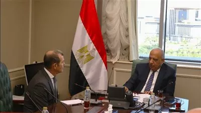 وزير الكهرباء يبحث مع الشركة العربية للهندسة خفض استهلاك الوقود بمحطات التوليد