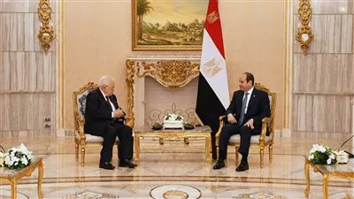 الرئيس السيسي يؤكد دعم مصر قيادة وشعباً للقضية الفلسطينية ورفض التصعيد الإسرائيلي