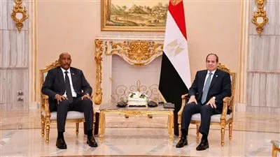 الرئيس السيسي يؤكد استمرار الدعم المصري للسودان على كافة المستويات