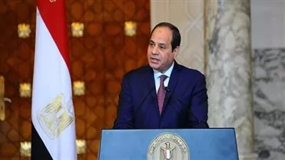 الرئيس السيسي: مصر بذلت جهودًا مكثفة لتوفير بيئة ملائمة لتطوير الصناعة