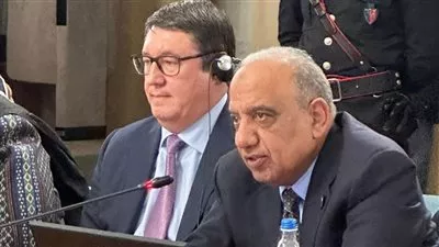 وزير الكهرباء: مصر لديها استراتيجية تقوم على مصادر الطاقة المتجددة النظيفة والآمة