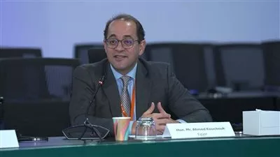 وزير المالية: التحرك الجماعي الدولي يدفع جهود بناء هيكل طموح للتمويل المناخي