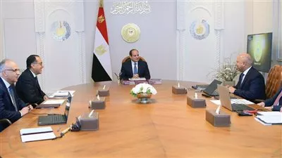 الرئيس السيسى يوجه بربط المشروعات التنموية بجهود الحكومة لتيسير حياة المواطنين