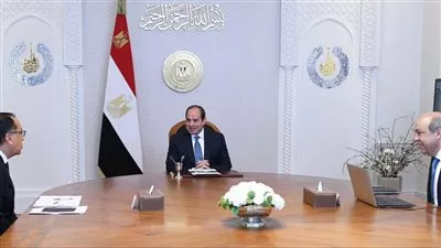 السيسى يوجه بتحفيز مشاركة القطاع الخاص في جهود تطوير قطاع الطيران