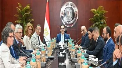 وزير الاستثمار يبحث التعاون مع منظمة الأمم المتحدة للتنمية الصناعية