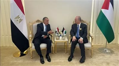 وزير الخارجية يؤكد موقف مصر الرافض لأي محاولات إسرائيلية لتهجير الفلسطينيين