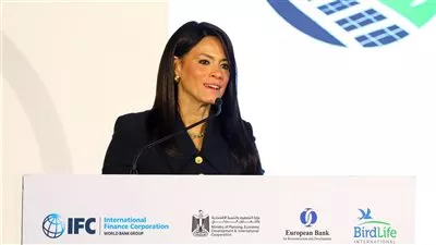 «المشاط» تفتتح ورشة عمل حول تطوير مشروعات الطاقة المتجددة والمستدامة بخليج السويس