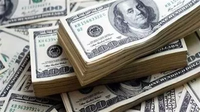 سعر الدولار في البنوك المصرية اليوم الخميس 14 نوفمبر 2024 