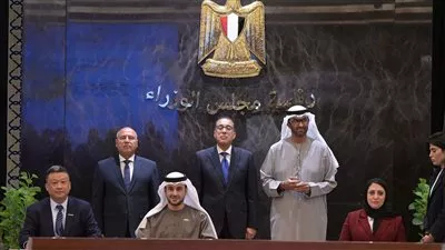 إنشاء مصنعَين لإنتاج خلايا وألواح الطاقة الشمسية في مصر بقدرة 4 جيجاوات