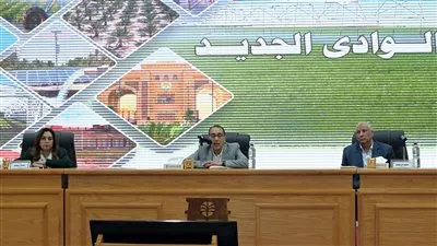 الحكومة: 100 مليار جنيه حجم الاستثمارات بمحافظة الوادي الجديد بمختلف المشروعات
