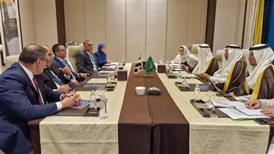 مصر والسعودية تبحثان سبل تعزيز التعاون الاستثماري المشترك