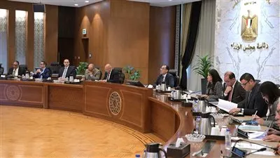 «العليا لشئون المشاركة» توافق على 12 مشروعا بمجال معالجة المياه والصرف والكهرباء